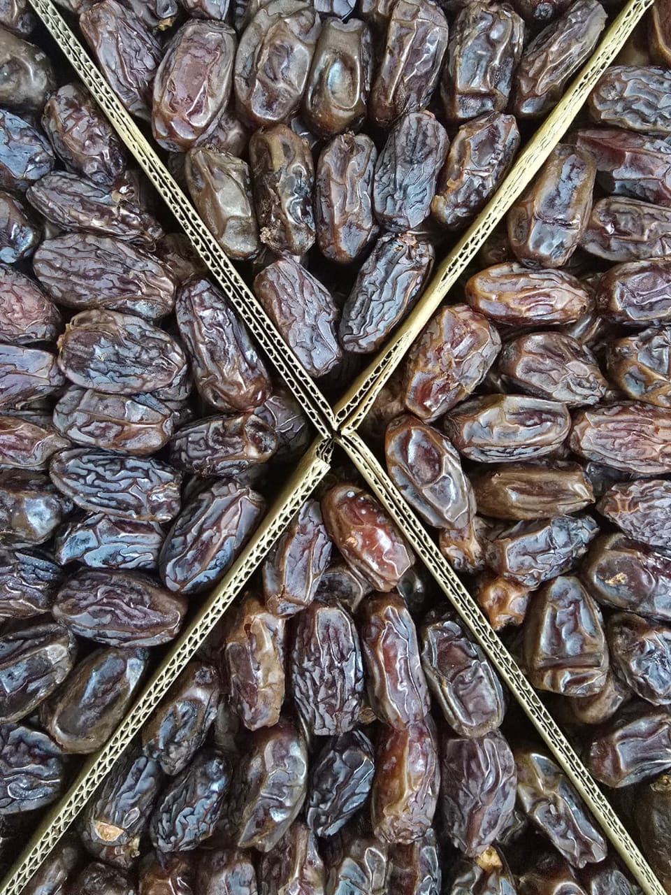 Premium Medjool Jordanian Dates